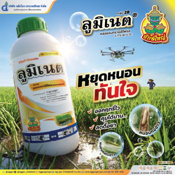 ลูมิเนต